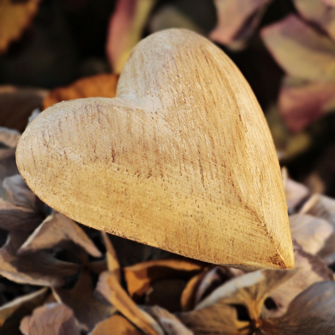 Nature Valentines - logo